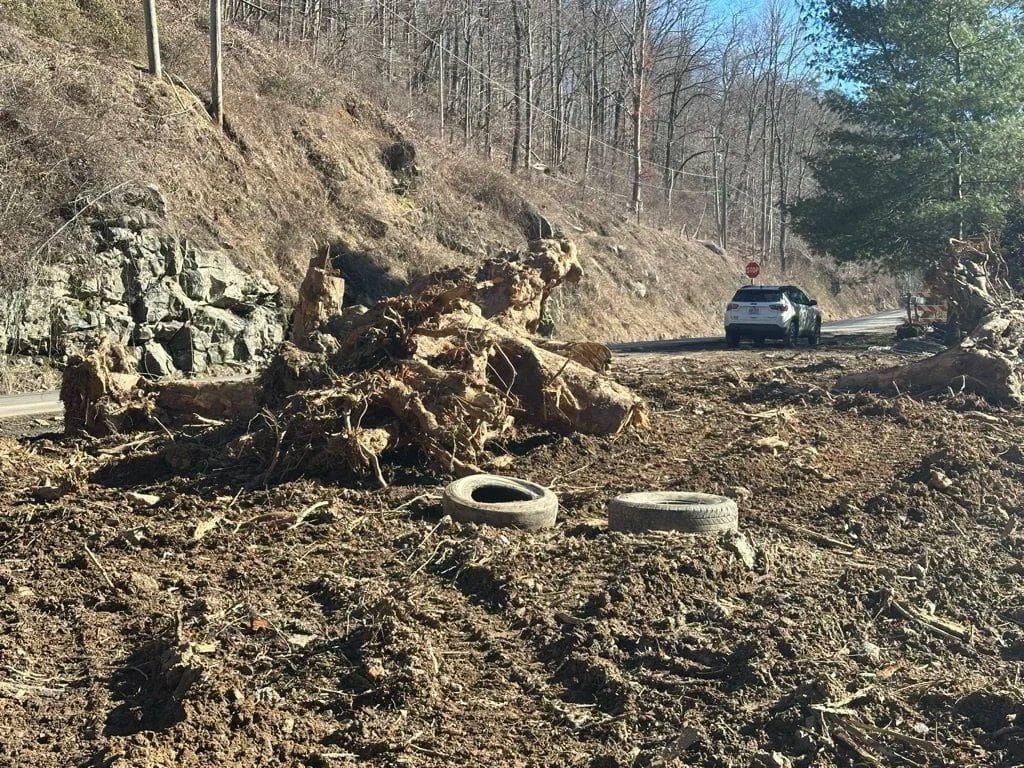 Uprooted stumps and storm debris along a mountain road